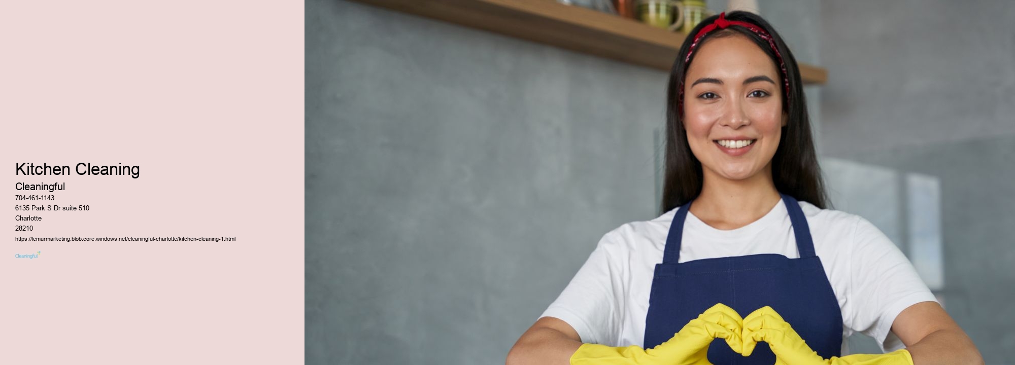 Kitchen Cleaning