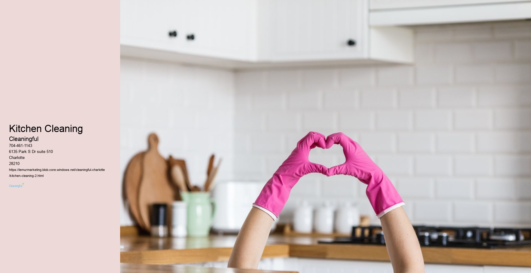 Kitchen Cleaning