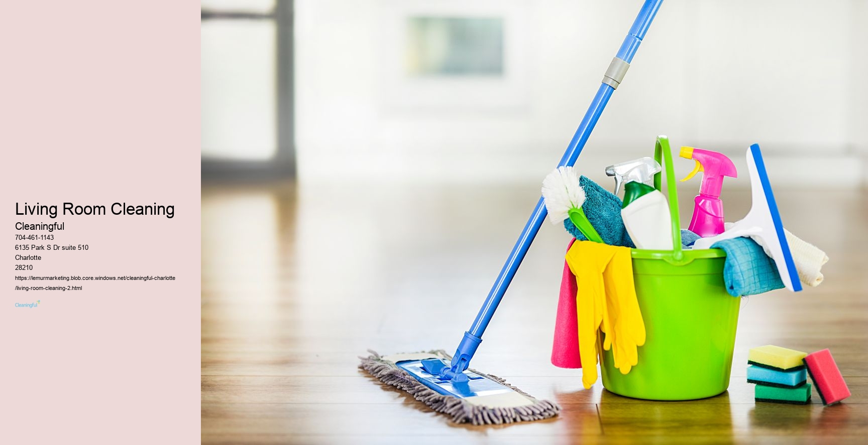 Living Room Cleaning